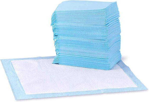 Basics Dog and Puppy Pee Pads with Leak-Proof Quick-Dry Design for Potty Training, Standard Absorbency, Regular Size, 22 x 22 Inches, Pack of 100, Blue & White - Image 4