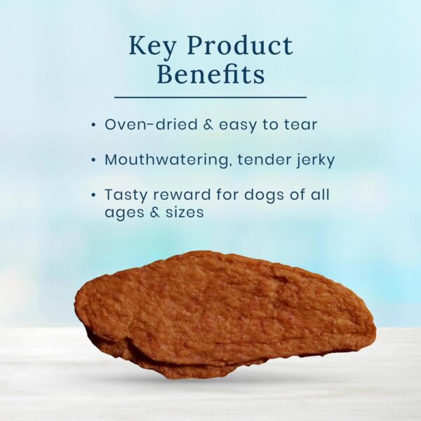 Blue Buffalo Nudges Jerky Bites Dog Treats, Chicken - Image 3