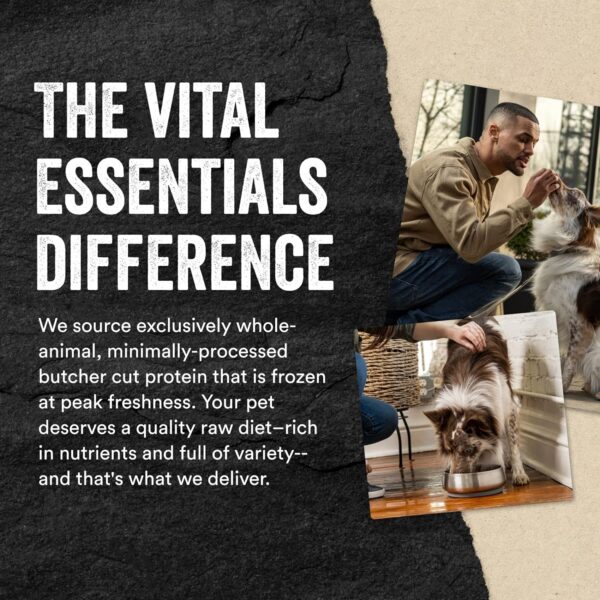 Vital Essentials Freeze Dried Raw Single Ingredient Dog Treats, Chicken Hearts, 1.9 oz - Image 3