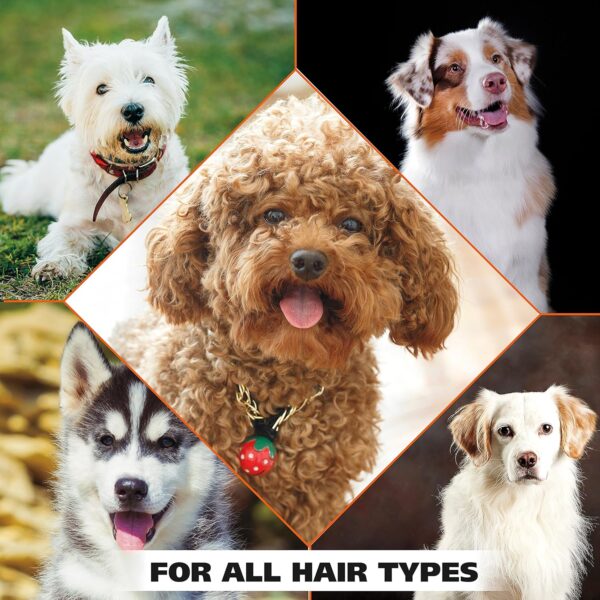 Wahl USA Dry Skin & Itch Relief Pet Shampoo for Dogs – Oatmeal Formula with Coconut Lime Verbena & Pet Friendly Formula, 24 Oz - Model 820004A - Image 3